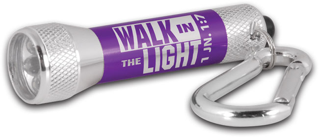 flsha24p-miniflashlight-purple.jpg